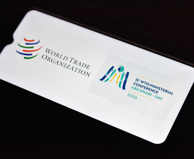 WTO and 13th Ministerial Conference Logo