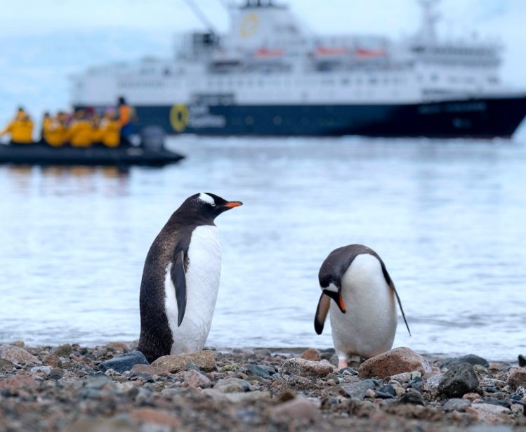 Protecting Antarctica: Argentine-Chilean Science Diplomacy in the Southern Ocean