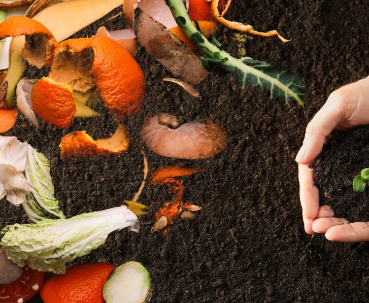 CCCI Food waste and fertilizer