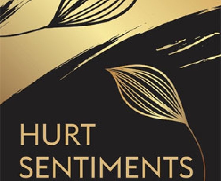 Hurt Sentiments Book Cover