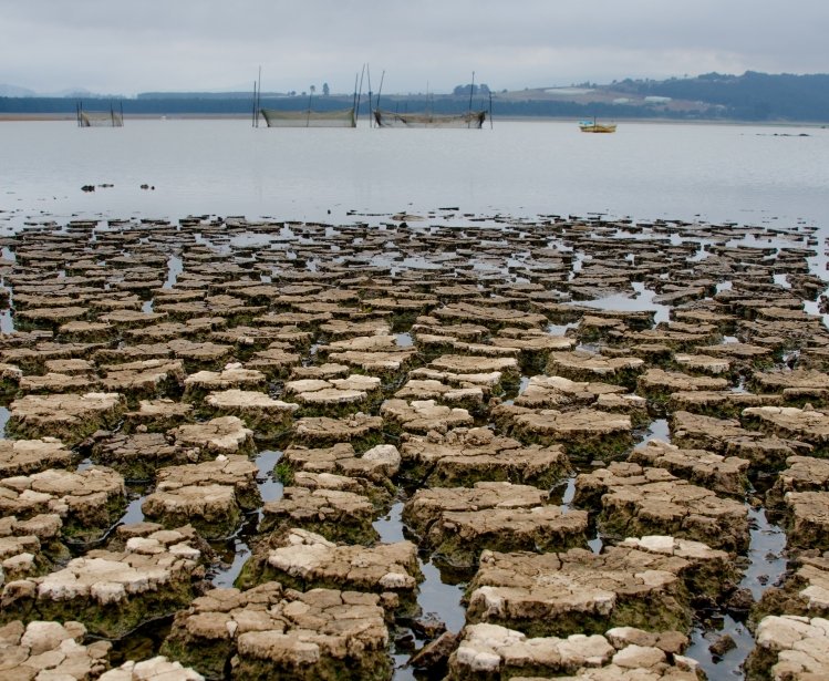 Image of lake, dry from drought in Hidalgo Mexico 