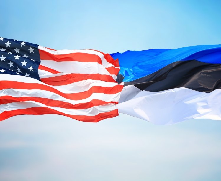 Estonia US flags pic