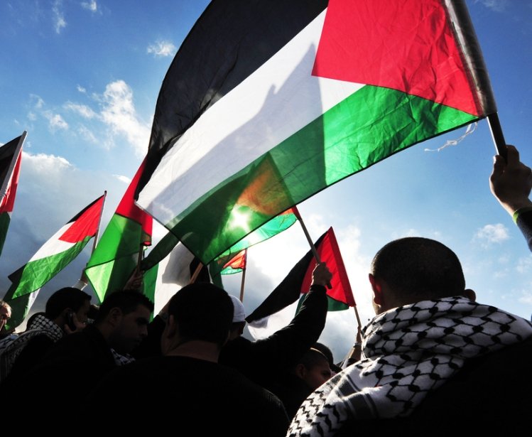 People Holding Palestinian Flags