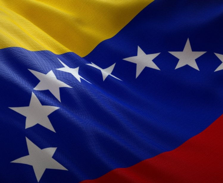 Crisis in Venezuela: Implications for Democracy, Human Rights, and the Environment