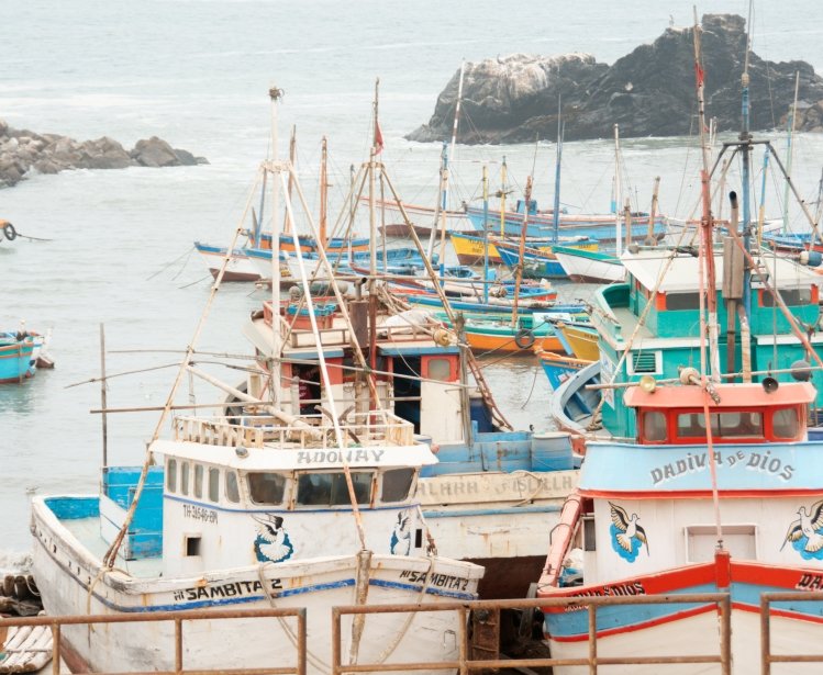 Image - Artisanal Squid Fishing in Peru Threatened by International Fleets