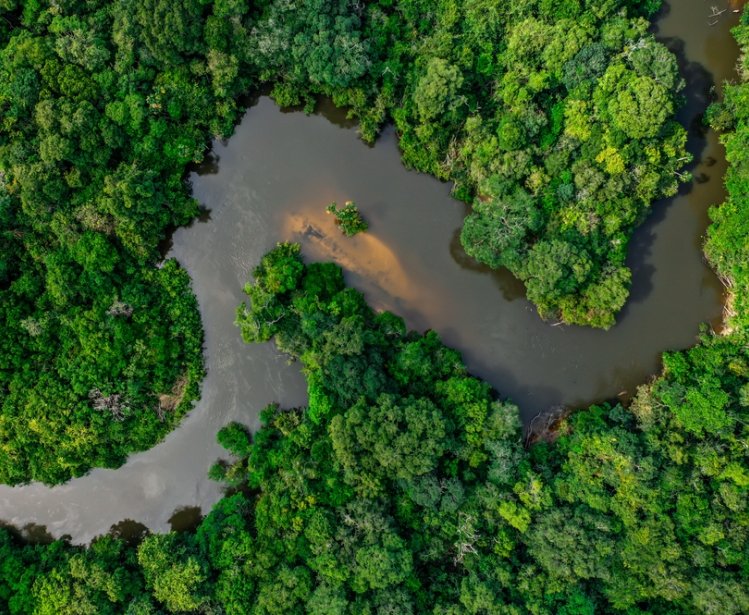 Jungle and river in the Amazon