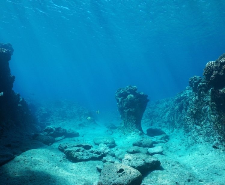 Rocky seabed