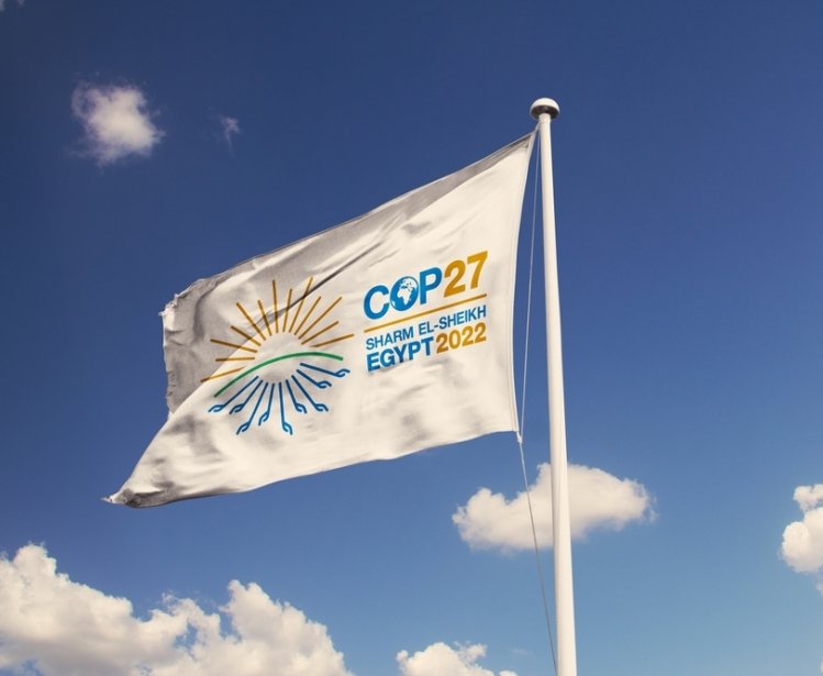 COP 27 Flag