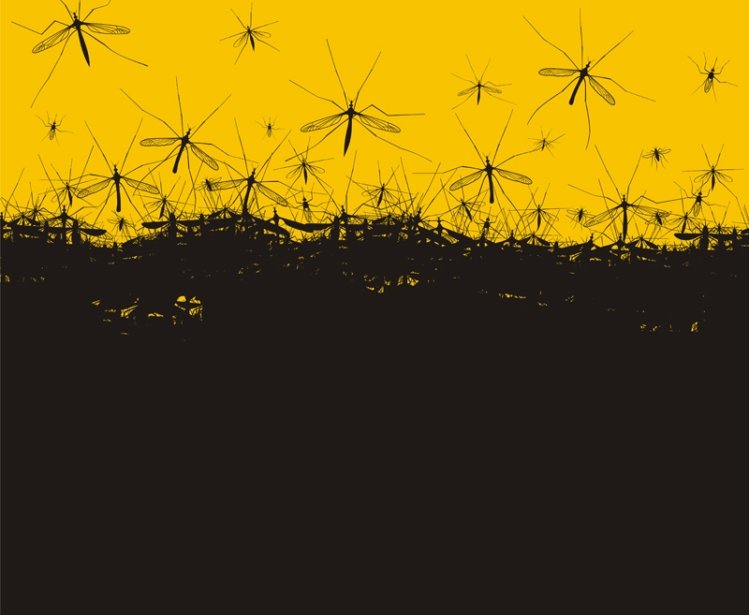 Mosquito gradient from a really dense concentration to less so towards the top, with a yellow background