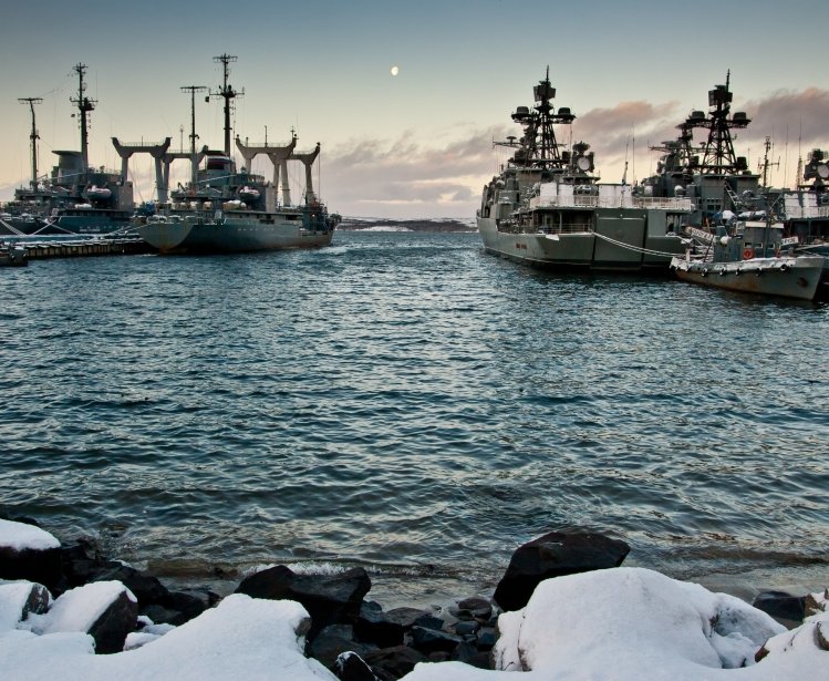 Nordic Security Arctic pic
