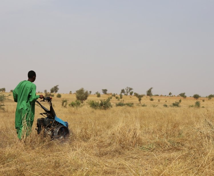 Farmer in Sahel Region