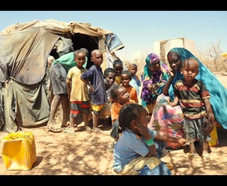 Refugees and Migrants: Pandemic and Vulnerable Populations 