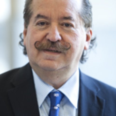 Roberto Briceño-León