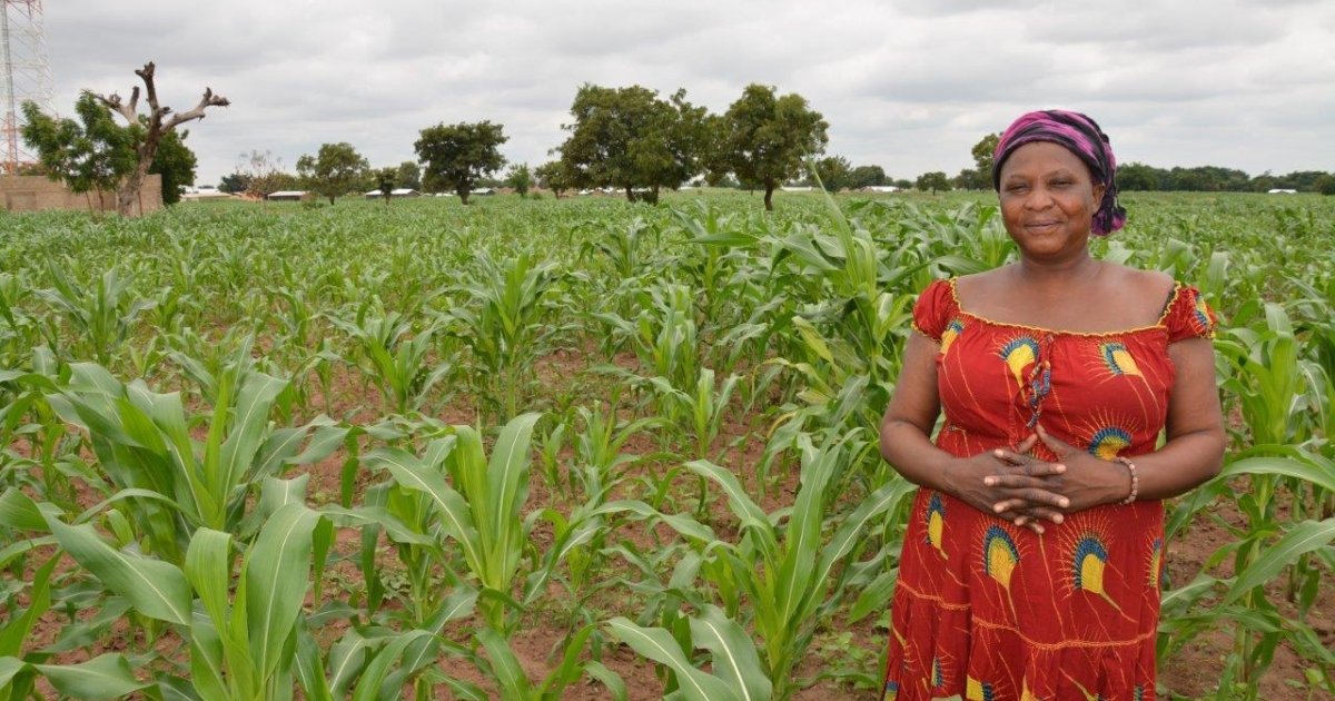 Plan for Boosting Ghana’s Agricultural Productivity Wilson Center