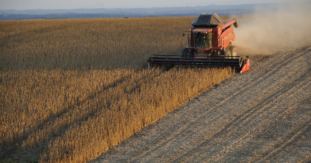 Agriculture Sector Gives Brazil Hope in 2017 | Wilson Center