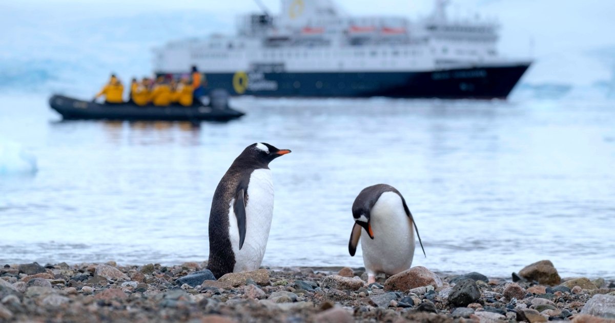 Protegiendo la Antártida: la diplomacia ambiental argentino-chilena en el Océano Austral