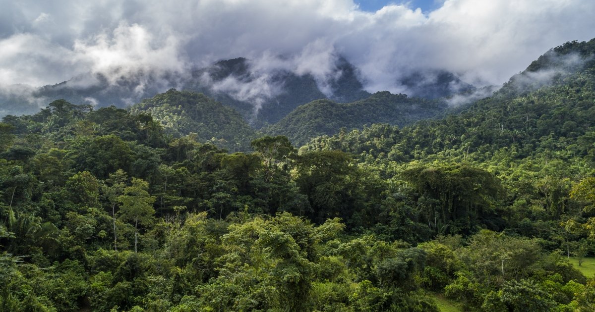The Challenges of Climate Change in Central America: Opportunities for ...
