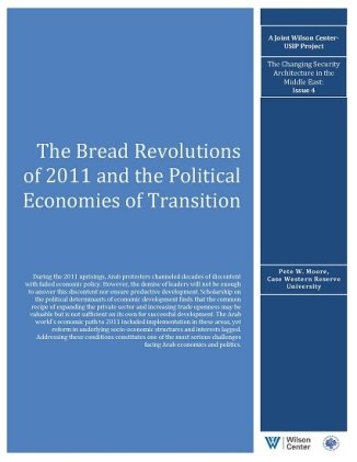 The Bread Revolutions of 2011 and the Political Economies of Transition