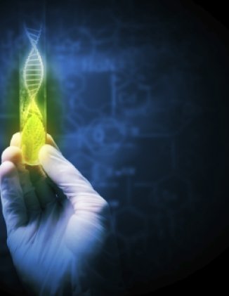 The DNA of the U.S. Regulatory System: Are We Getting It Right for Synthetic Biology?