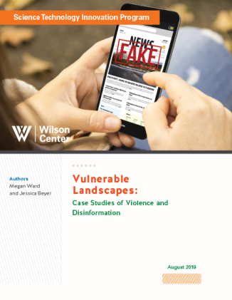 Vulnerable Landscapes: Case Studies of Violence and Disinformation