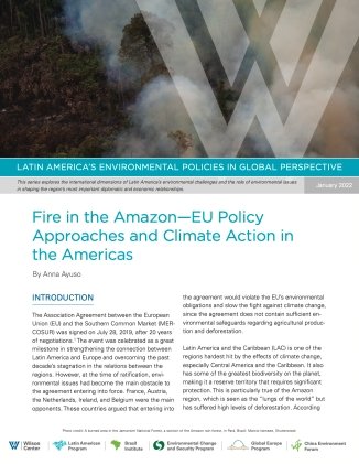 Image - Fire in the Amazon Cover