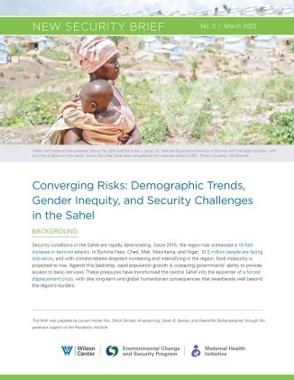 Converging Risks: Demographic Trends, Gender Inequity, and Security Challenges in the Sahel 