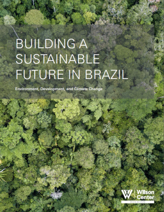 Image - 2020 Sustainable Brazil report cover