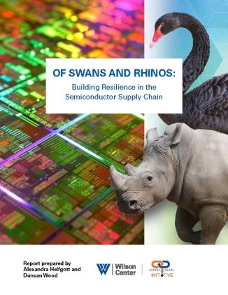 Of Swans and Rhinos Report Cover