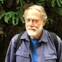 David A. Hollinger