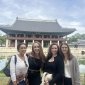 Group of Congressional Staffers in Korea