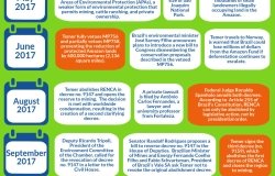 The Fight Against Deforestation in Brazil