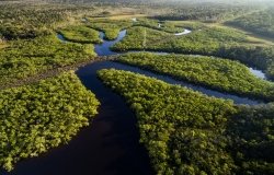 Environmental Concerns - Brazil 2018 Understanding the Issues