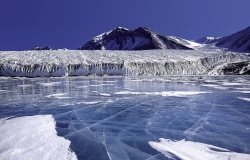 A Pyrrhic Victory in Antarctica?