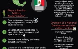 Infographic | National Security Under Peña Nieto's Administration