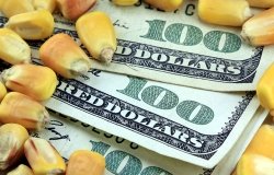 The Ambiguous U.S.-Japan Trade Deal, Lost in Translation