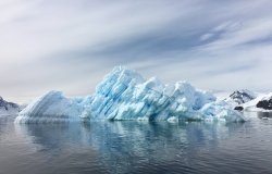 Charting Progress: Creating New Marine Protected Areas in Antarctica and the High Seas