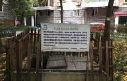 Grassroots Solutions for Solid Waste in China’s Growing Cities