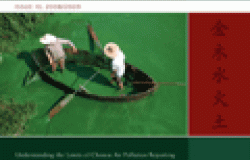 China Environment Series 10(2009/2010)