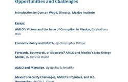 Changing the Guard in Mexico: AMLO’s Opportunities and Challenges