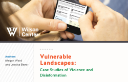 Vulnerable Landscapes: Case Studies of Violence and Disinformation