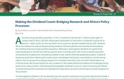 Making the Dividend Count: Bridging Research and Africa’s Policy Processes