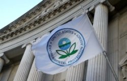 Image - In Search of Climate Action: The Western Hemisphere and President-elect Biden