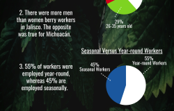 2018 Berry Worker Survey