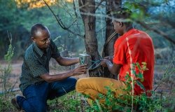 Feed the Future Land Tenure Assistance Activity, USAID Tanzania