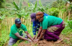 The Government of Rwanda, through the Ministry of Environment and Rwanda Green Fund (FONERWA), has launched the ‘Strengthening Climate Resilience of Rural Communities in Northern Rwanda’ project in Gicumbi District on 26 October 2019. This project, which is being financed by the Green Climate Fund (GCF), will increase the district’s climate resilience and prepare residents for the impacts of climate change. It will also support the adoption of low carbon technologies and job creation.