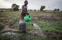 A woman waters vegetables on the farm of a vegetable producer group in Malou village, Bor County, Jonglei State, South Sudan, April 9, 2019