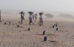  UNEP working to restore fragile ecosystems of Djibouti’s Central Plains.
