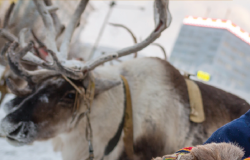 Proceedings of the First Annual International Youth Symposium: The Arctic in 25 Years cover