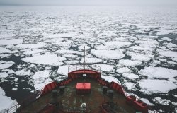 Arctic sea ice picture large