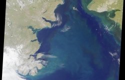 Bering Sea picture